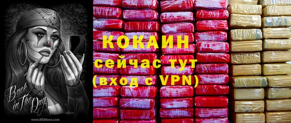 шишки Арсеньев