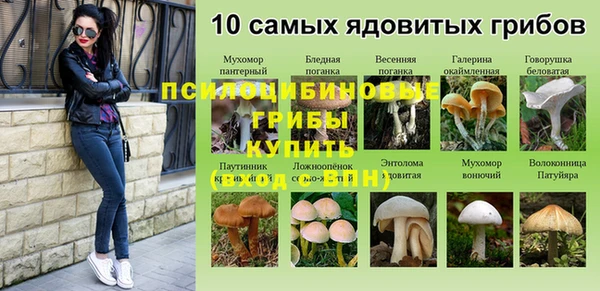 jwh Аркадак