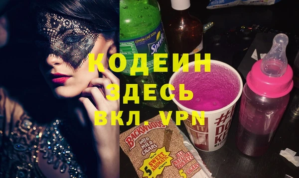 шишки Арсеньев