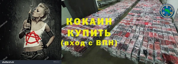 шишки Арсеньев