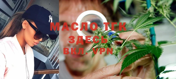 шишки Арсеньев