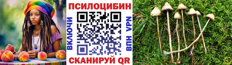 KRAKEN   Октябрьский  Псилоцибиновые грибы ЛСД 